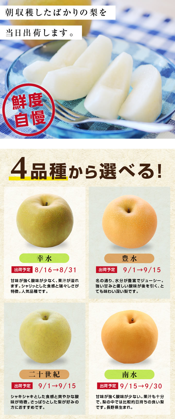 日本最大級 発送は最短4日 幸水 優品 玉数指定できます 梨 5kg以上