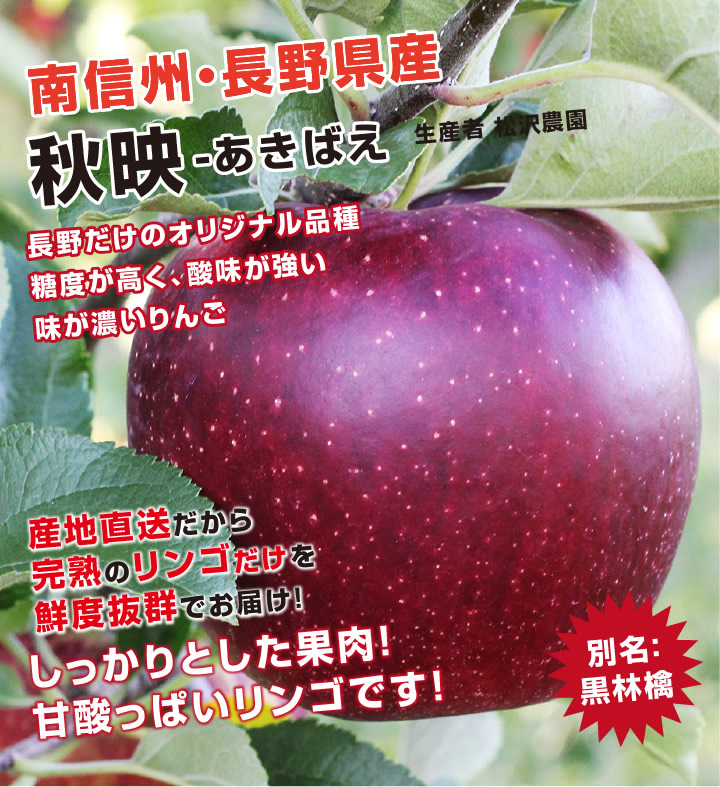 長野のオリジナル品種「秋映」。糖度が高く、酸味があり味が濃いりんご10キロ