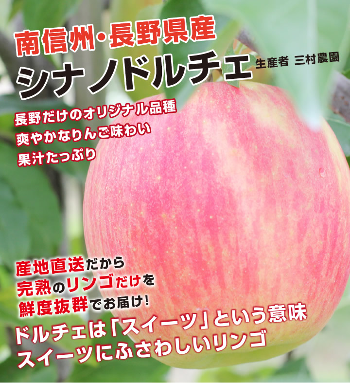 長野県産 シナノドルチェ りんご 送料無料