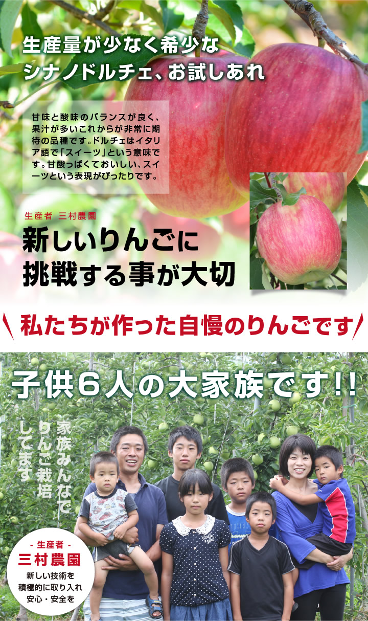 長野県産 シナノドルチェ りんご 送料無料