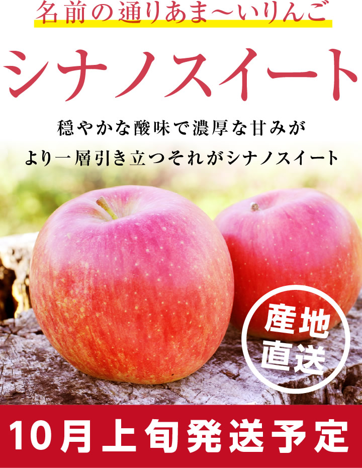 名前の通り甘〜いりんご シナノスイート 送料無料 10キロ