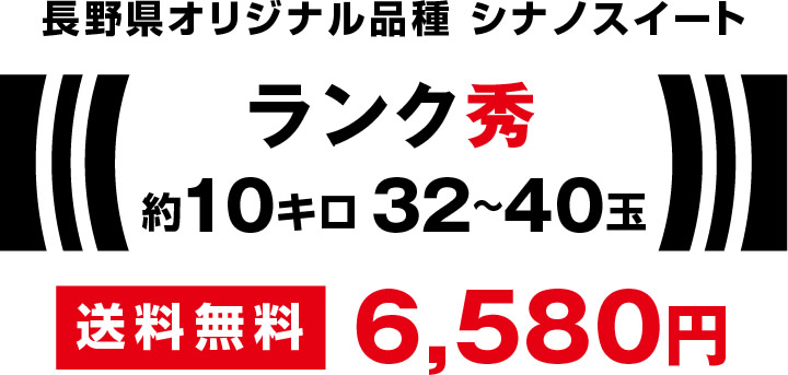長野県オリジナル品種 シナノスイート 10キロ