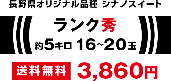 長野県オリジナル品種 シナノスイート 5キロ