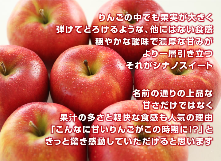 甘いリンゴのシナノスイート 5キロ