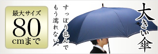 Storybox-大きい傘-