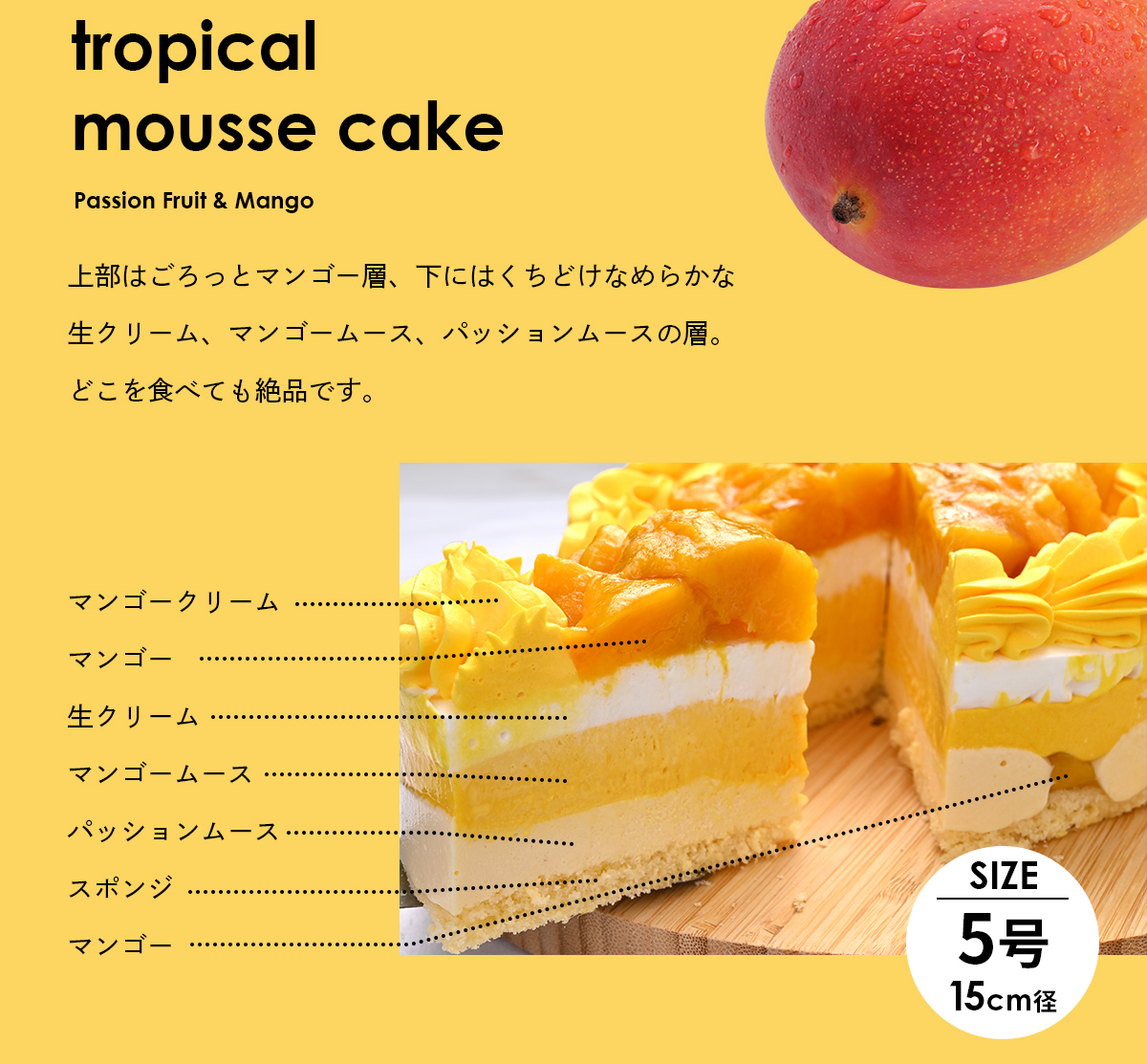 トロピカルムースケーキ