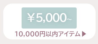 5000円～1万円