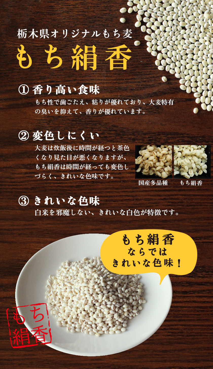 栃木県産もち麦 もち絹香