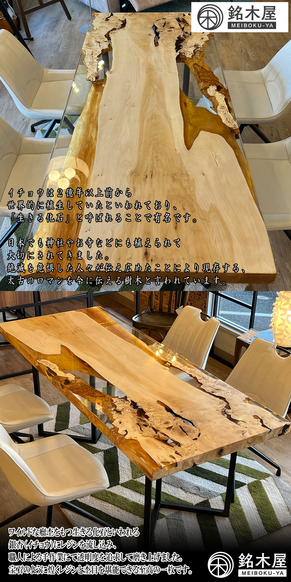 銀杏 イチョウ 一枚板 希少木材 天然木 ダイニングテーブル クリア