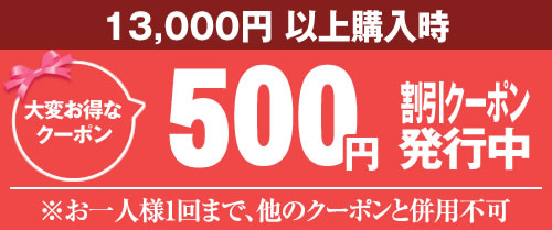 クーポン500円