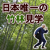 日本唯一の虎竹の里の竹林見学