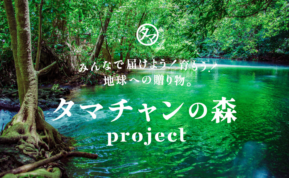 タマチャンの森project