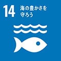 持続可能な開発目標（SDGs）：海の豊かさを守ろう