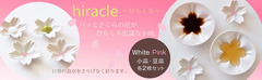 【九谷焼/皿】hiracle ひらくる さくら小皿・豆皿(ホワイト/ピンク) ペア4点セット