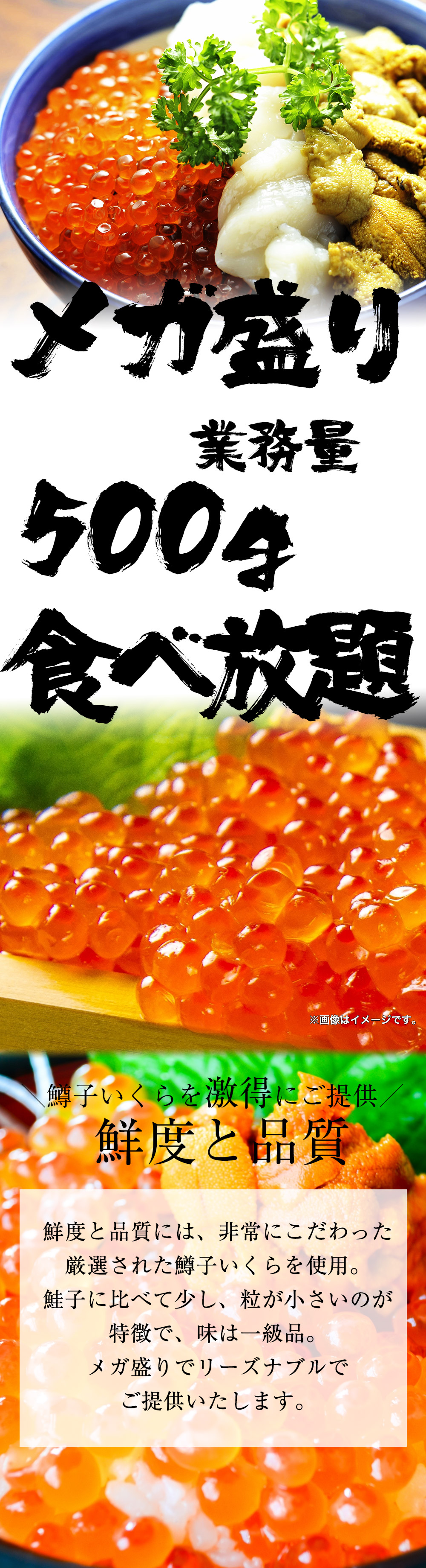 紅鮭いくら醤油漬け500g(250g×2)　恵方巻 イクラ 鮭 手巻き寿司 いくら丼 がってん寿司