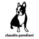 クラウディオ パンディアーニ | claudiopandiani