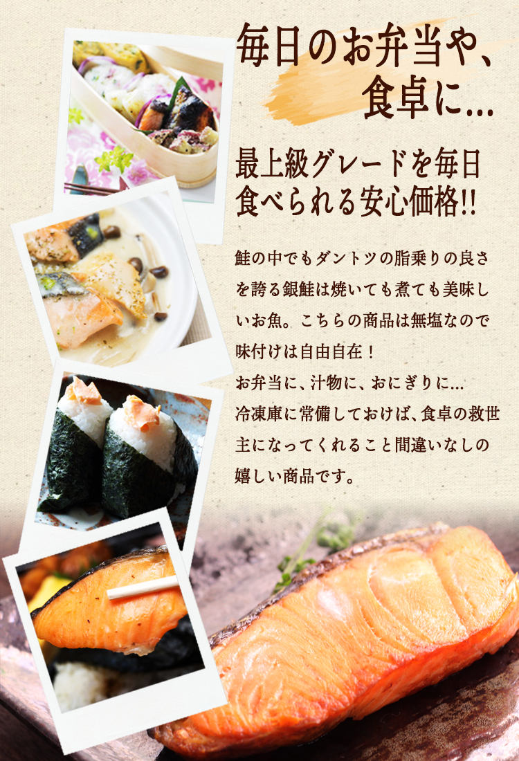 ふるさと納税 茨城県 常総市 笹巻銀鮭セット  魚貝類 サケ しゃけ 銀鮭 さけ サーモン