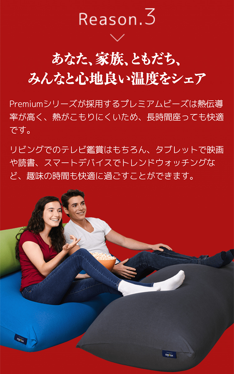 Yogibo Support Premium（ヨギボー サポート プレミアム） : pro-sup