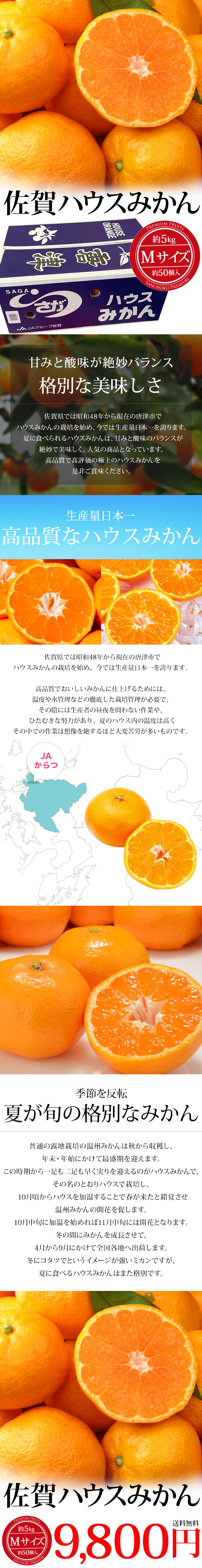 海外輸入海外輸入みかん 佐賀県産 佐賀ハウスみかん 約5kg Mサイズ 約50個 みかん、柑橘類