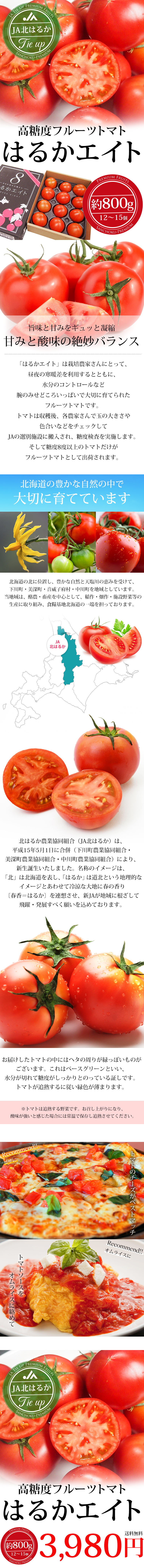フルーツトマト 北海道産 はるかエイト 約800g 12〜15個