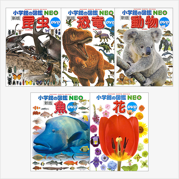 選べる 小学館の図鑑NEO 専用BOX付5冊セット 26種類から選べます 新刊 