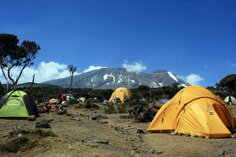 テントの張られたキャンプ場