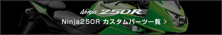 Kawasaki ニンジャ250Rパーツ一覧